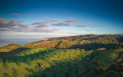 Introducing the Haysheds